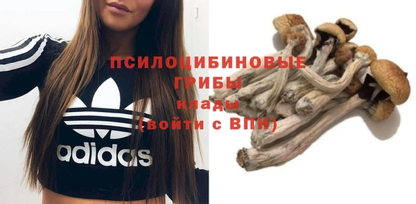 спиды Алзамай