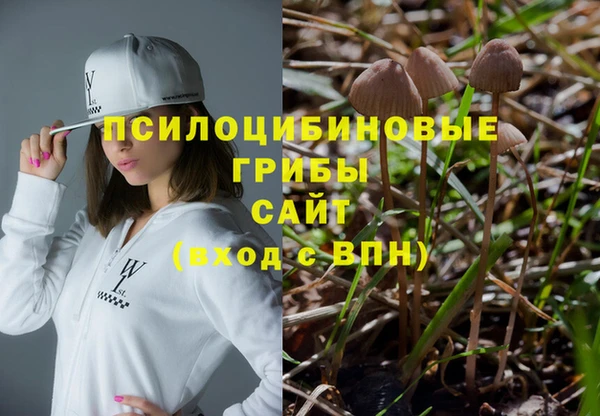 первитин Алексин