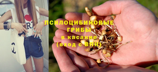шишки Алексеевка