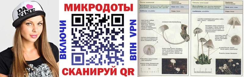 Галлюциногенные грибы MAGIC MUSHROOMS  Кола 